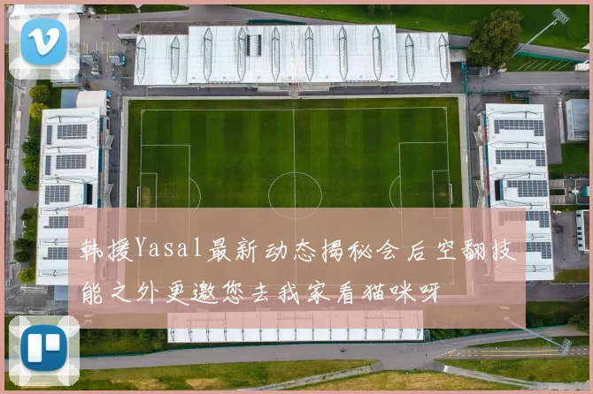 韩援Yasal最新动态揭秘会后空翻技能之外更邀您去我家看猫咪呀