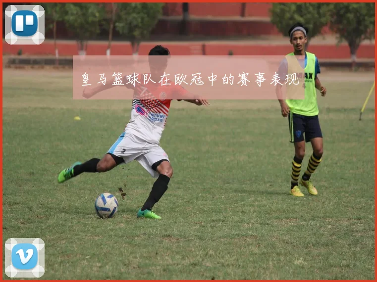 皇马篮球队在欧冠中的赛事表现