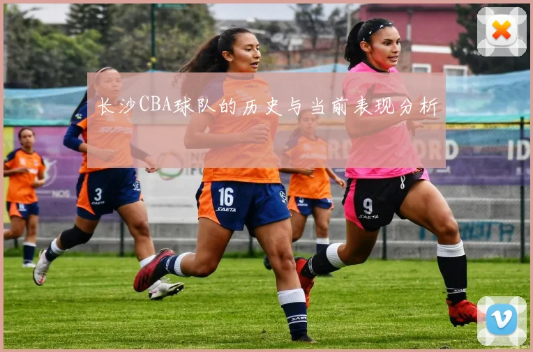 长沙CBA球队的历史与当前表现分析