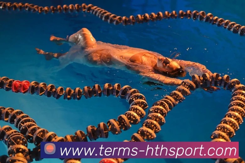 华体会品牌故事